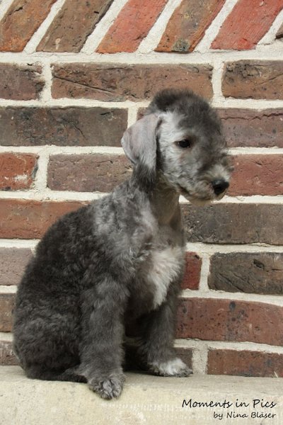 Antares 2009-08-01 & 02 (34).JPG